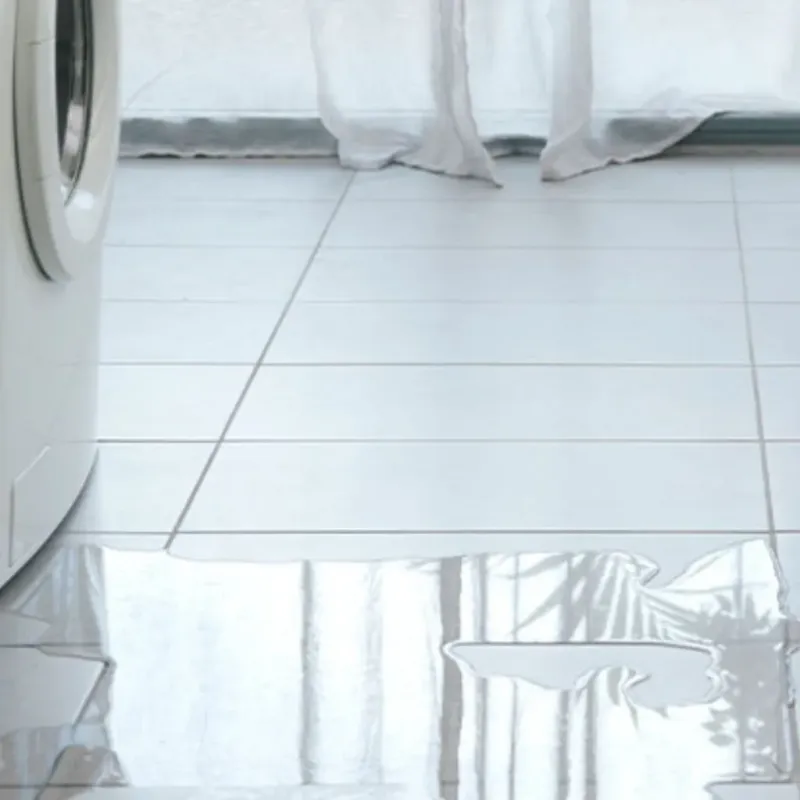 Appliance Leak Cleanup in Pulaski, WI